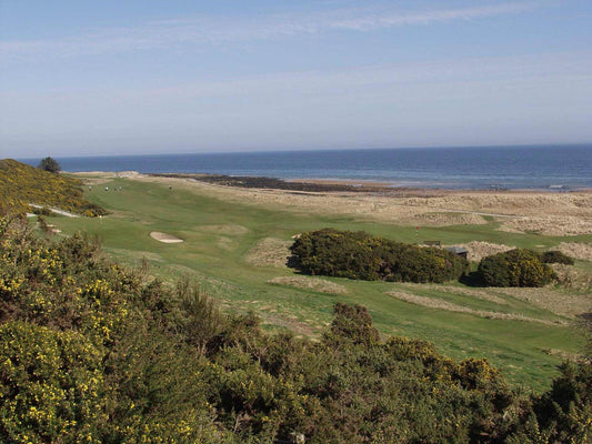 Elevated view over Royal Dornoch Golf Course with yellow gorse in the foreground, rolling fairways and bunkers below, and the beach and blue water of the Dornoch Firth beyond