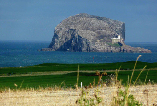 The gannet covered Bass Rock and its lighthouse rising from the Firth of Forth beyond a golf green and flag at North Berwick