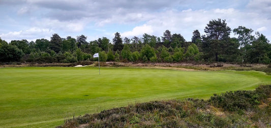 Panoramic view of the 10th green at Hankley Common Golf Club, ringed by heather banks, gorse and a treeline of Scots pines and birch under a cloudy sky